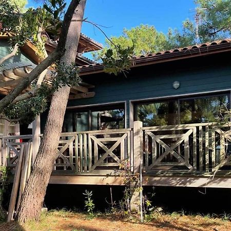 Yamina Lodge Lège-Cap-Ferret Eksteriør billede